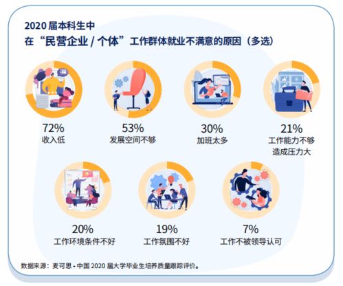 学历提升群体超三成选择民企就业,信息技术行业成用人大户